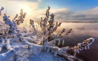Картинка Сагайдак Павел, озеро, снег, деревья, природа, зима