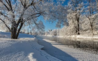 Картинка мороз, река, Сергей Давыдов, деревья, солнце, снег
