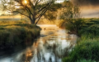 Картинка речка, утро, туман, Нестерчук Сергей, отражение, солнце
