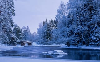 Картинка пейзаж, пруд, зима, мостик, вода, деревья, парк, природа, снег