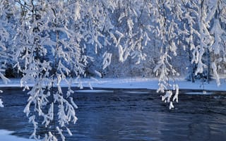 Обои река, вода, зима, природа, ветки, снег