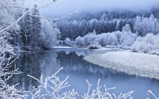 Обои природа, пейзаж, река, ветки, зима, деревья, снег