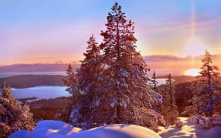 Картинка Канада, снег, деревья, пейзаж, ели, зима, закат, природа, хомы