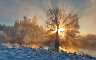 Картинка утро, свислочь, туман, лучи, Александр Гвоздь, солнце