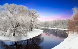 Картинка Белоруссия, деревья, снег, река, зима, лес, пейзаж, природа