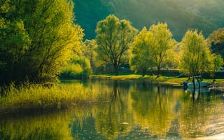 Картинка Черногория, зелень, деревья, река, природа