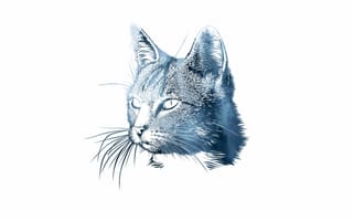 Картинка кошка, усы, голова, 3d графика