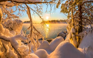 Картинка Фёдор Лашков, пейзаж, солнце, природа, Ладога, ветки, зима, деревья, озеро, снег, сугробы
