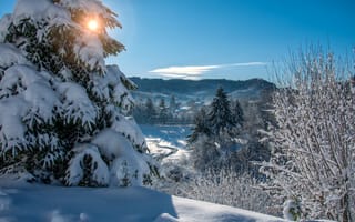 Картинка Paolo Motti, зима, пейзаж, снега, деревья, горы, ели, природа