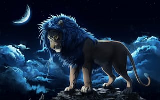 Картинка Leo, the sky, rock, mane, The moon, для LEONa
