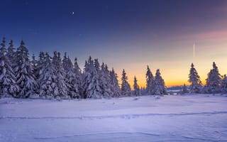 Картинка природа, рассвет, зима, деревья, снег, пейзаж, небо, звёзды, ели