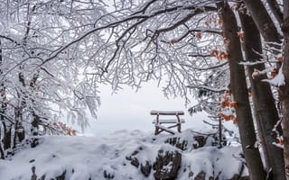 Картинка природа, ветки, снег, зима, скамья, деревья