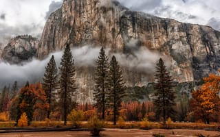 Картинка горы, облака, осень, фотограф Ionut Lupu, национальный парк Йосемити, деревья