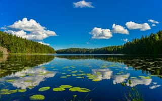 Картинка Белые облака в небе и их отражение в озере, окруженном лесом, фотограф оdi