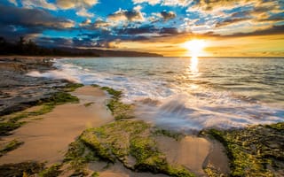 Картинка sea, dawn, Hawaii, coast, tropics, USA
