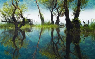 Картинка Nathaniel Merz, вода, отражение, река, природа, деревья