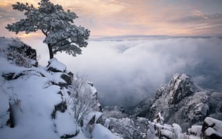 Картинка Nathaniel Merz, облака, скалы, дерево, природа, пейзаж, горы, снег, сосна, Корея