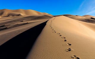 Обои песок, дюны, пустыня, следы