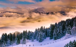 Картинка Италия, облака, туман, природа, горы, леса, пейзаж, ели, зима, снег