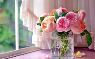 Картинка окно, подоконник, занавеска, ваза, розы, цветы