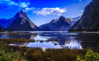 Картинка Новая Зеландия, травы, горы, форд, берег, природа, заповедник, Милфорд Саунд, Фьордленд, Fiordland