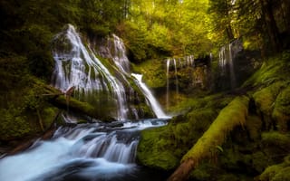 Картинка природа, поток, лес, водоспад, Doug Shearer, водопад, ручей