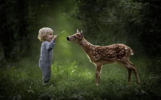Картинка ребёнок, природа, детёныш, лето, трава, комбинезон, малыш, мальчик, лес, оленёнок, животное