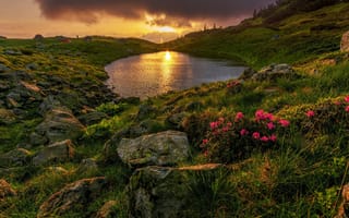 Картинка природа, озеро, квіти, Україна, Карпати, захід сонця, Misha Reme, гори