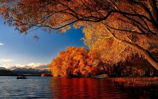 Картинка Новая Зеландия, озеро, Текапо, пейзаж, природа, кусты, деревья, осень, горы