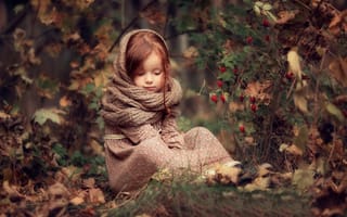 Обои Darya Stepanova, плоды, платье, осень, девочка, природа, ребёнок, куст, лес, листья, снуд, ягоды, шиповник