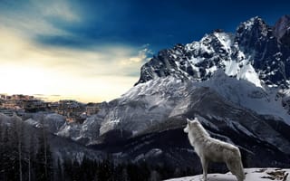 Картинка 3D, зима, графика, волк, горы, digital art, город, снега, леса, животное