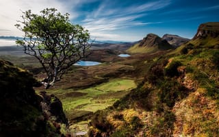 Картинка Шотландия, природа, Скай, остров, озёра, дерево, долина, пейзаж, горы