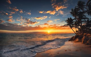 Картинка Valentin Valkov, тропики, берег, пейзаж, море, рассвет, утро, Карибы, природа, пальмы