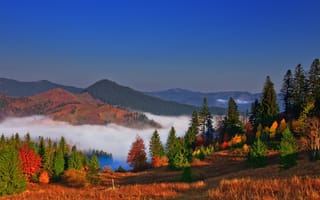 Обои Буковина, пейзаж, деревья, холмы, осень, природа, леса, горы, туман, облака