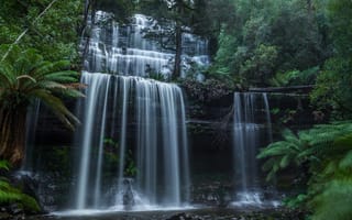 Картинка Тасмания, природа, красиво, каскады, водопад