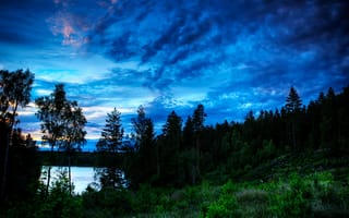 Картинка озеро, деревья, пейзаж, сумерки, закат, силуэты