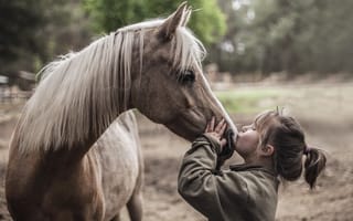 Картинка ребёнок, девочка, лошадь, конь, поцелуй, животное