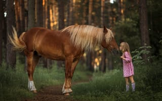 Обои ребёнок, девочка, природа, лес, тропинка, животное, лошадь
