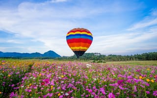 Картинка Лето, цветы, воздушный шар