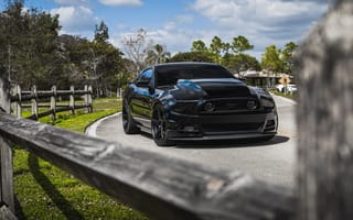 Картинка Mustang, Ford, Roush, Sky, GT500, Sight, Black, Green