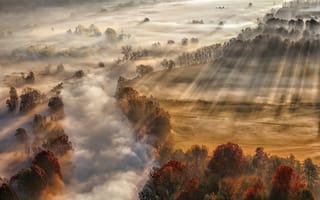 Картинка Осень, утро, туман, деревья, солнечные лучи