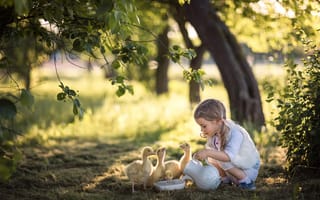 Картинка Radoslaw Dranikowski, гусята, птенцы, природа, кувшин, девочка, ребёнок, лето