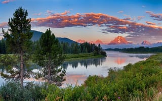 Картинка forest, grass, tops, mountains, USA, Grand Teton national Park, shore, ate, clouds, pond