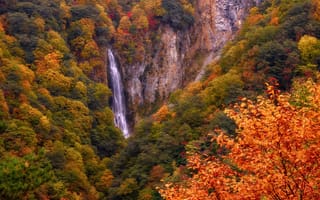 Картинка Япония, природа, Азия, леса, скалы, горы, водопад, осень