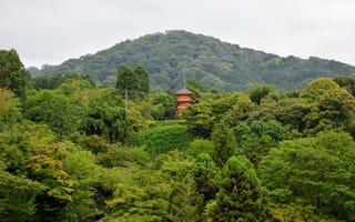 Картинка деревья, башня, киото, япония