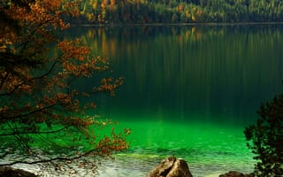 Обои озеро, отражение, осень, деревья