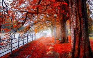 Картинка природа, осень, аллея, ограждение, дорожка, деревья, река, парк