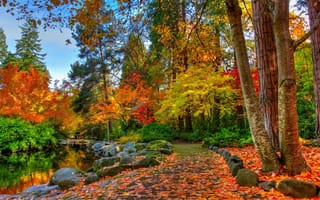 Картинка природа, дорожка, водоём, парк, деревья, камни, осень