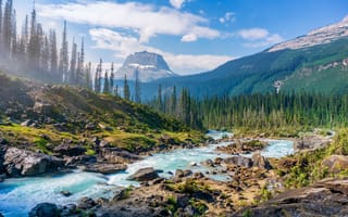 Картинка Канада, Yoho, река, Лес, Горы, National Park, Пейзаж, Природа