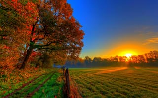 Картинка природа, пейзаж, осень, поле, ограждение, закат, колея, деревья